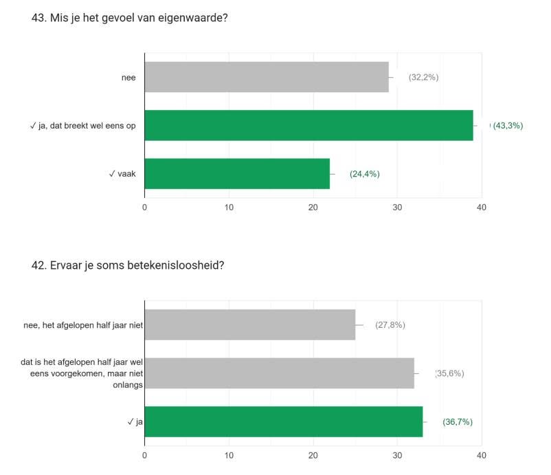 eigenwaarde, betekenisloosheid, burnouttest